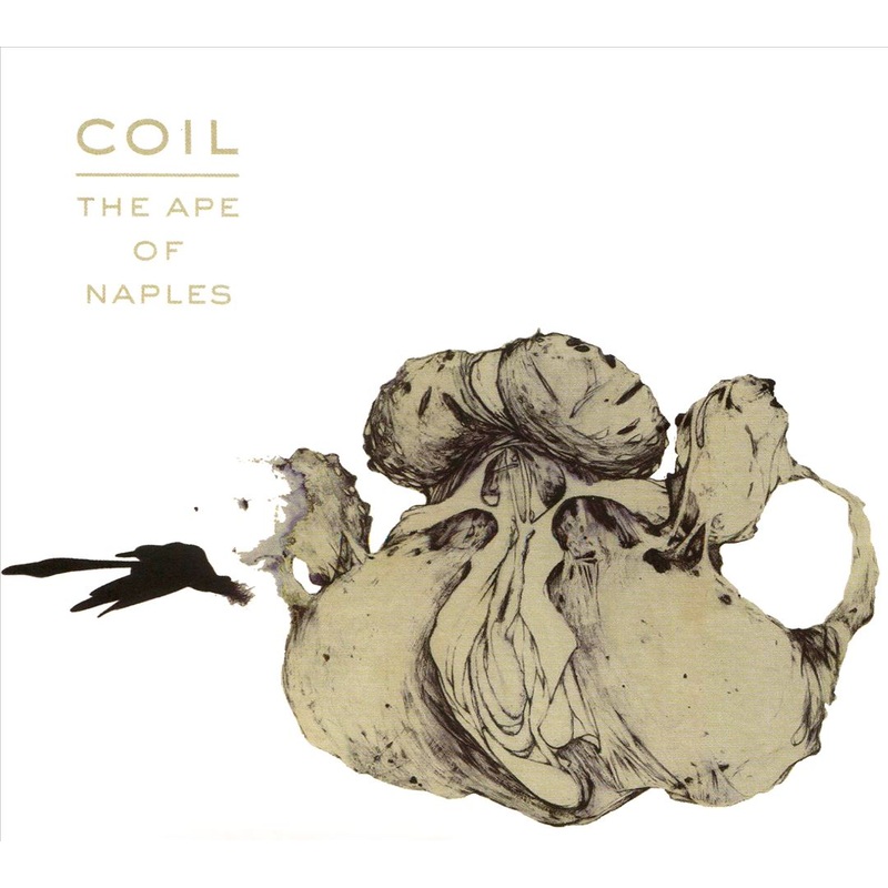 Ape of Naples