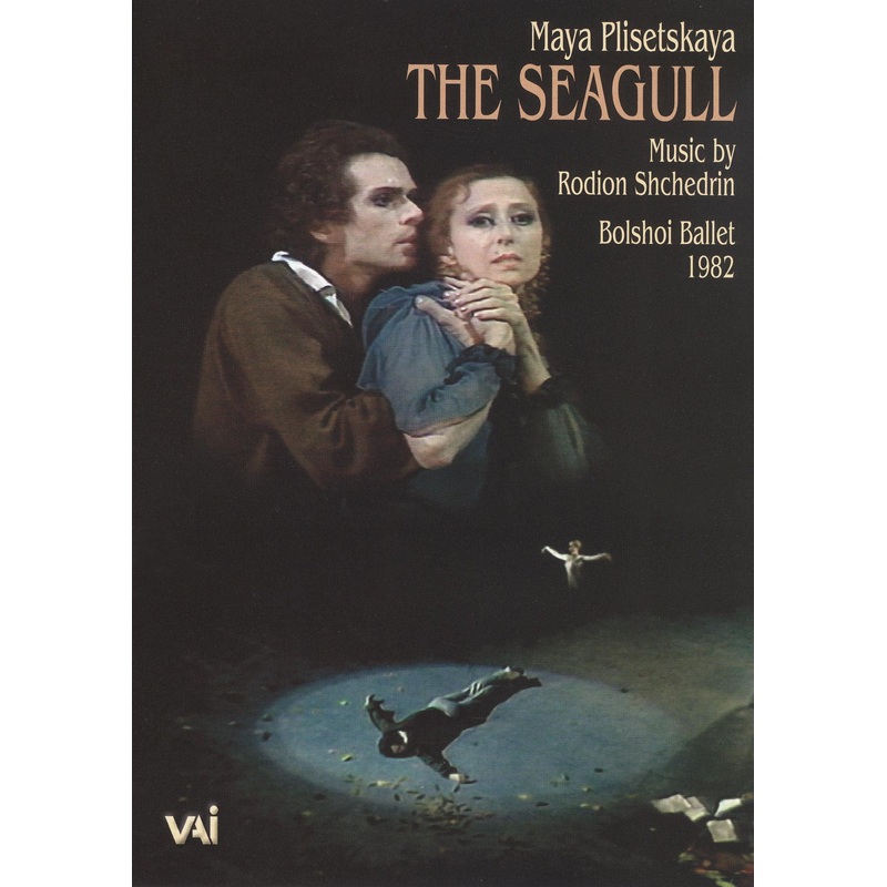 Seagull