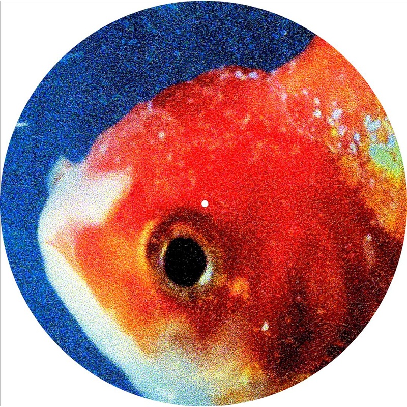 Big Fish Theory