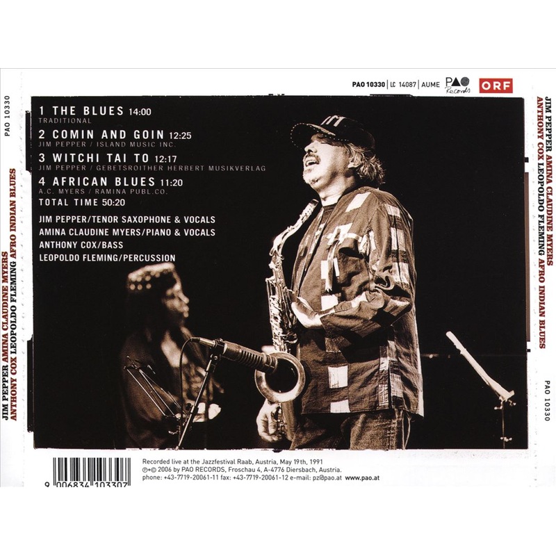 Afro Indian Blues