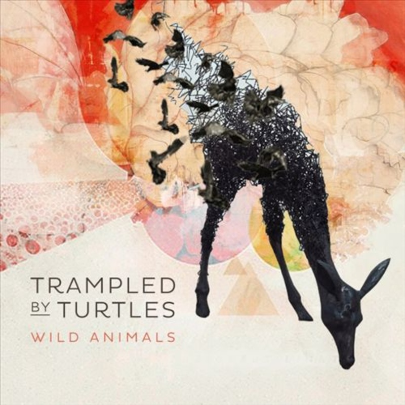 Wild Animals [LP]