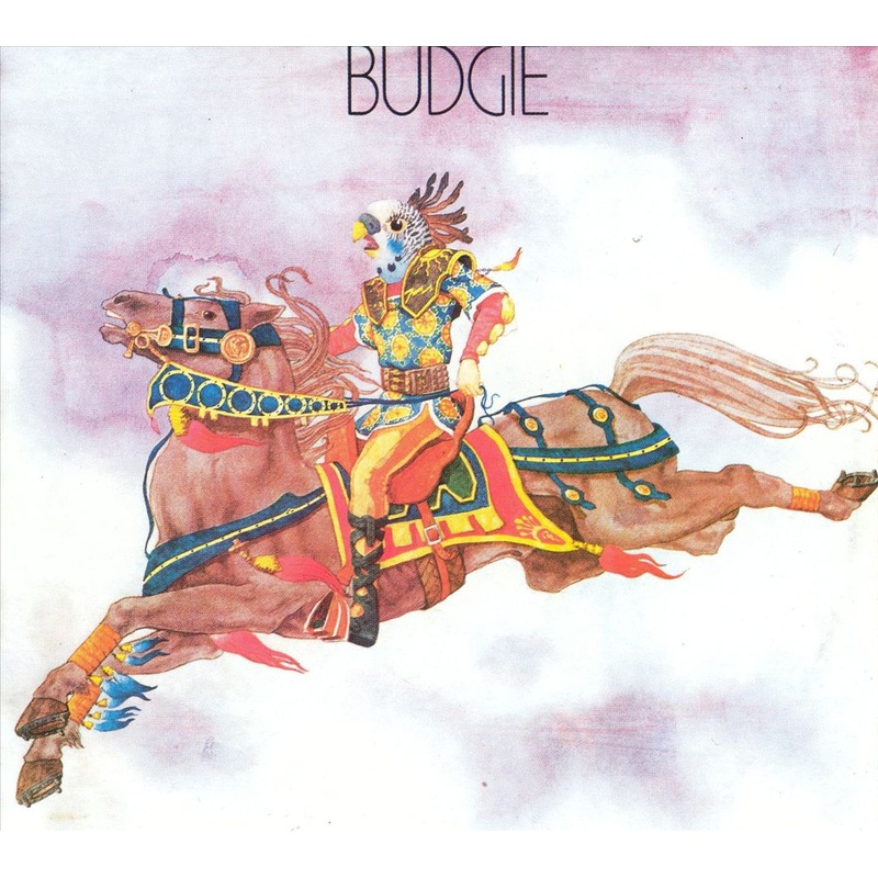Budgie