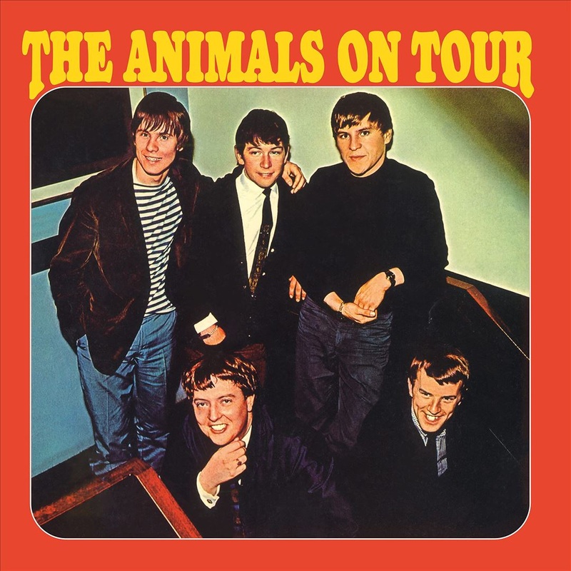 Animals on Tour