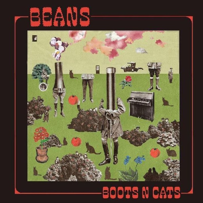 Boots n’ Cats