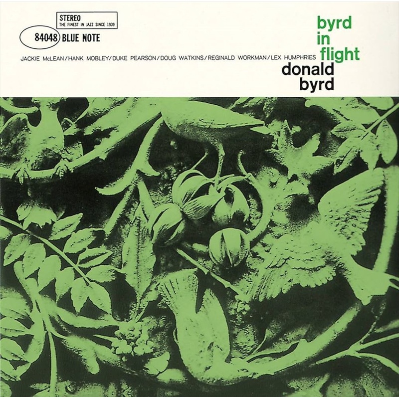 Byrd in Flight