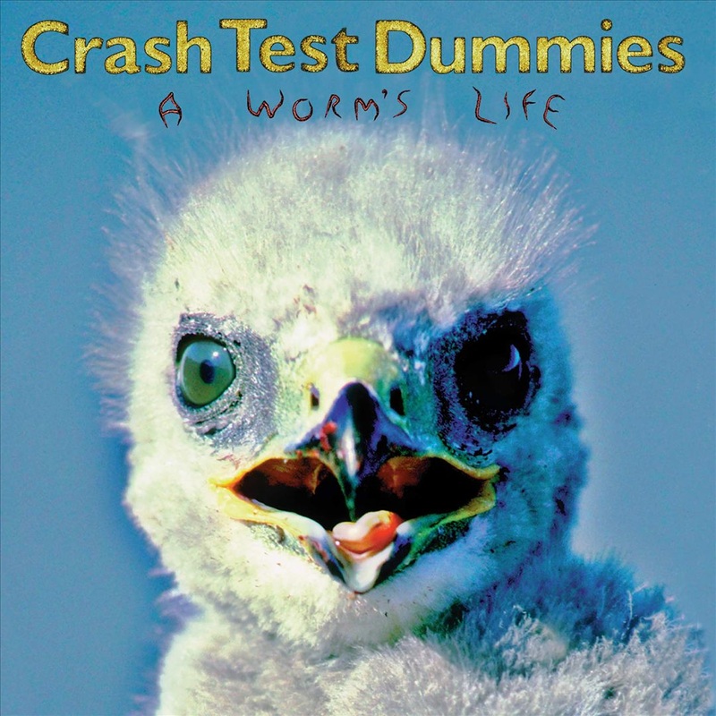 Worm’s Life