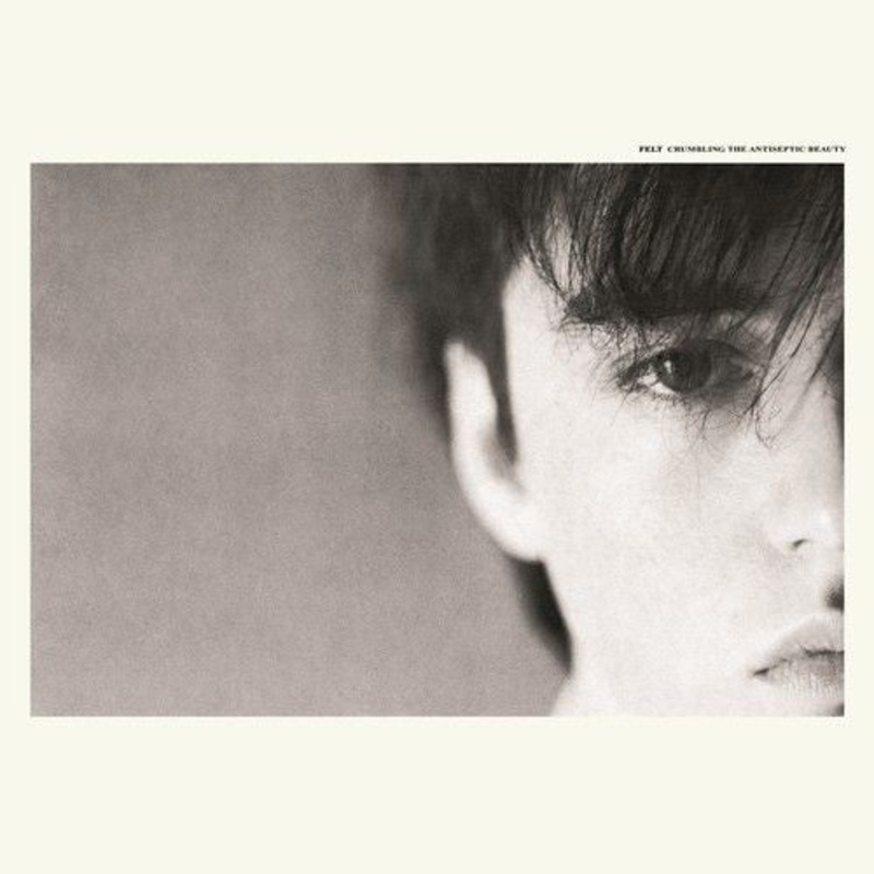 Crumbling the Antiseptic Beauty [Deluxe Remastered Gatefold Sleeve Vinyl Edition]